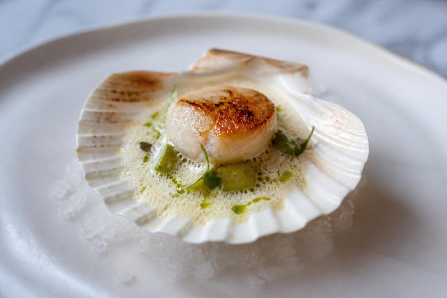 Coquille Saint-Jacques préparée et dressée en assiette