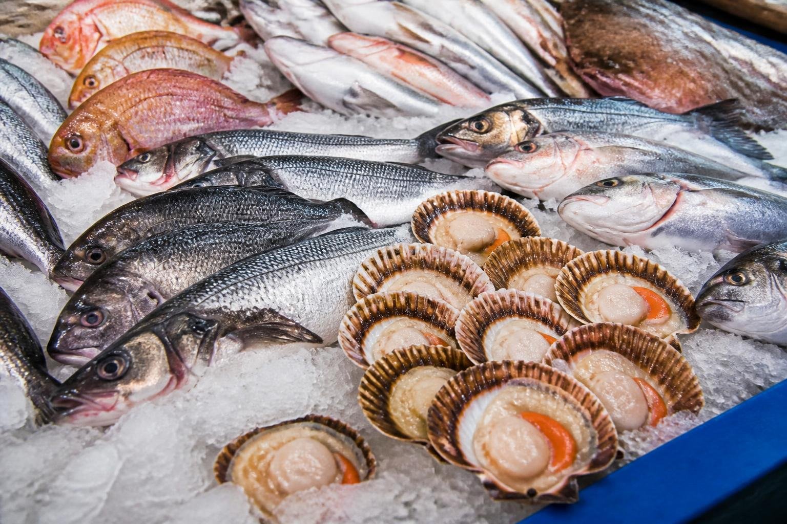 Étal de fruits de mer frais : poissons et coquilles Saint-Jacques à la criée